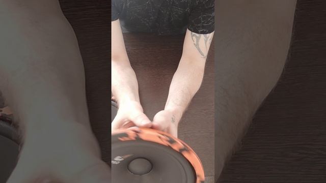 Мощьные колонки для гаража на компонентах DL audio Gryphon pro 200 DL Audio Gryphon PRO 200 Midbass