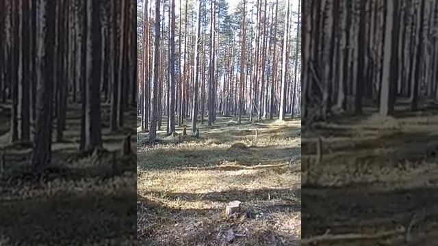 М.437)) Просто поговорим.  Мудрость в самом себе и в церкви online video cutter com