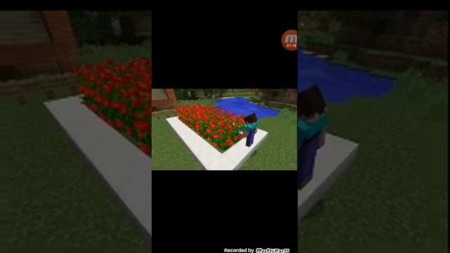 Приколы майнкрафта хаха смешно