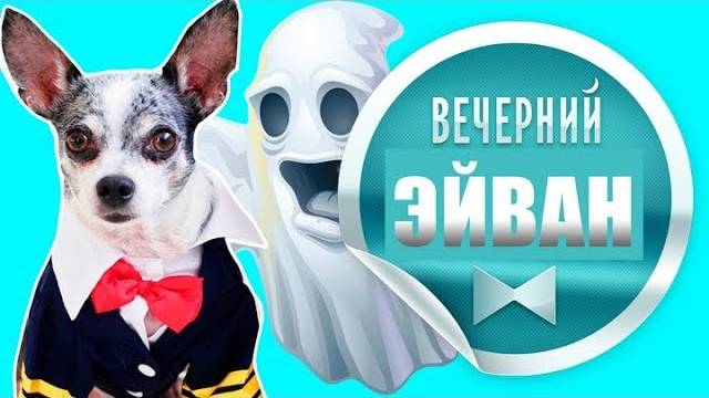 Мистический вызов духа и секреты прошлого Эйвана 🐶👻