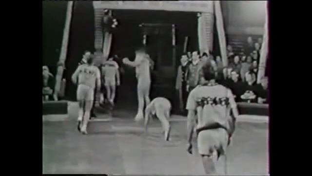 Подкидные доски Быковские 1962. Teeter boards Bykovskaya 1962.
