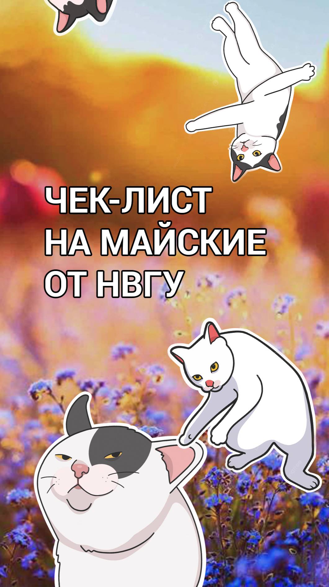 Встречай майские с НВГУ