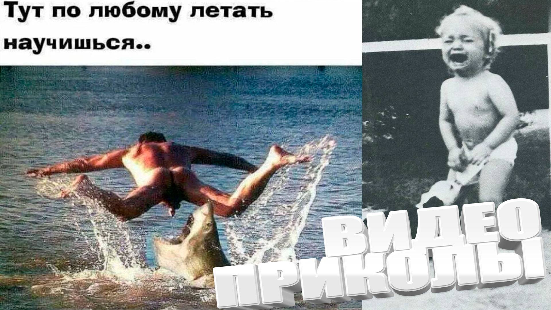 смешные видео ролики подборка лучших приколов 2025 года #смешно # приколы #видио #смех #ржака
