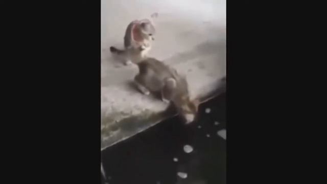 ПРИКОЛЫ НА РЫБАЛКЕ