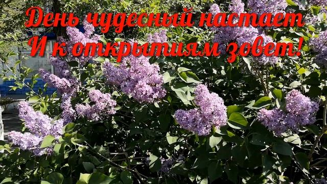 С ДОБРЫМ УТРОМ! ХОРОШЕГО ДНЯ! Видео открытка