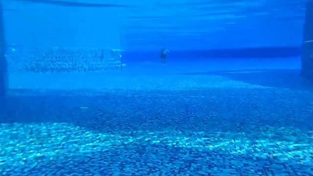 Басейн під водою. Maritim Jolie Ville Royal Peninsula