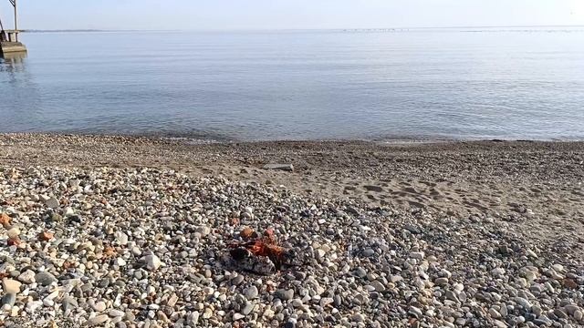 2).  Встреча на берегу моря КЦ Сияние , часть 2