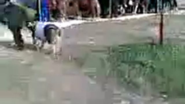 как мне ваш цирк надоел!
