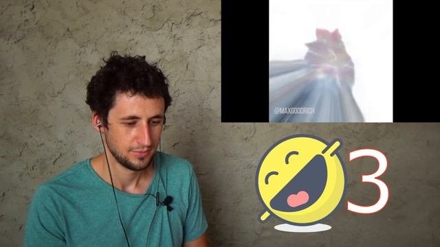 Смешные видео приколы с животными #1. Моя реакция на ютуб приколы с животными и челлендж не смейся