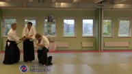 16 Aikido Jo No Tebiki Nikyo Shishiya Sensei Malmö 2017