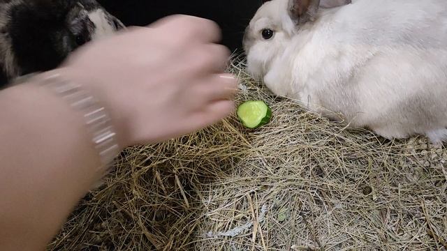 1000018129.mp4