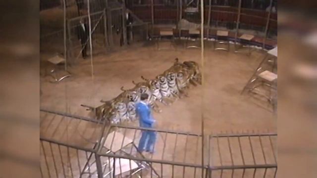 Ария - Колизей (Circus Animal Trainer's Clip)