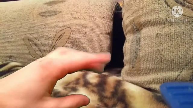 Оживим динозаврика?)🦖 Кукольная анимация