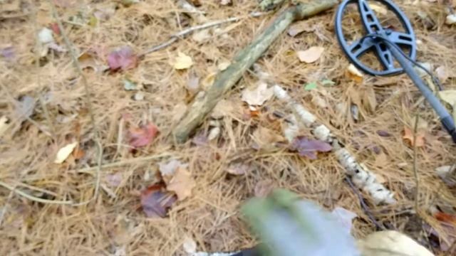 Forest Trench Hunt