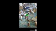 Самые смешные животные Новые смешные видео. ССЫЛКА В ОПИСАНИИ!