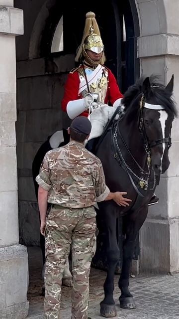 Incredible Footage: King's Guard Horse Breaks Into Dance! 🐴💃#shoerts