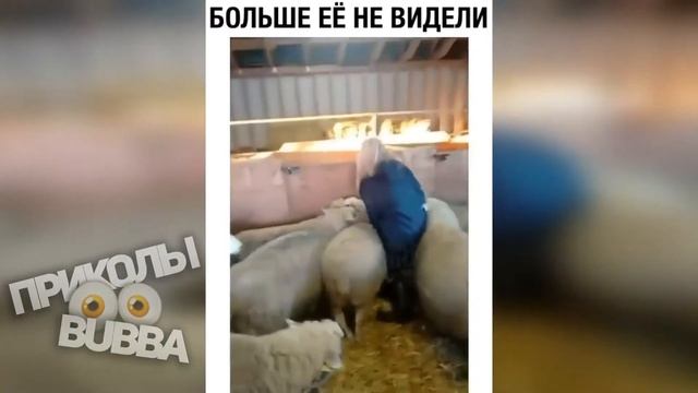 👀 Больше еЁ не видели ↓↓↓ приколы 2020