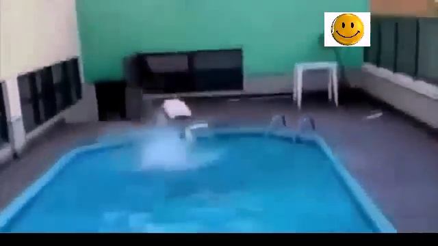 Ржачь!! Самое смешное видио !Меньше надо жрать!