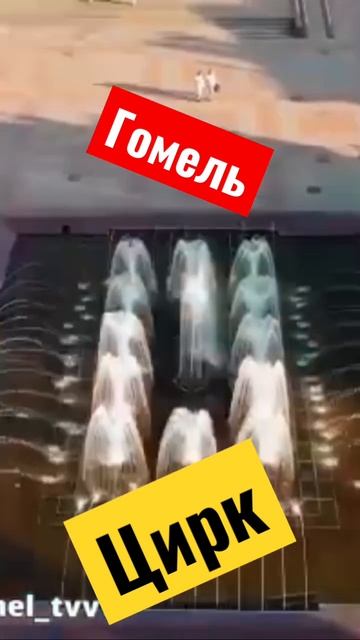 Гомель Цирк#shortsfeed #shortvideo #гомель #shorst #short #subscribe #status #status