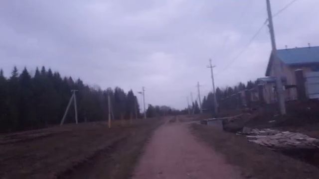 Вечером в лесу Walking in the forest