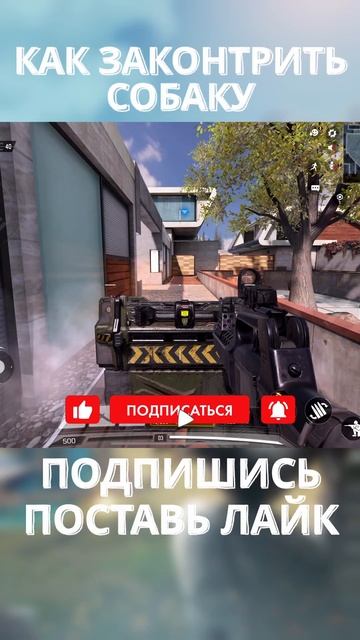 [CALL OF DUTY: MOBILE] КАК ПОБЕДИТЬ СОБАКУ #codmobile #callofduty #shots