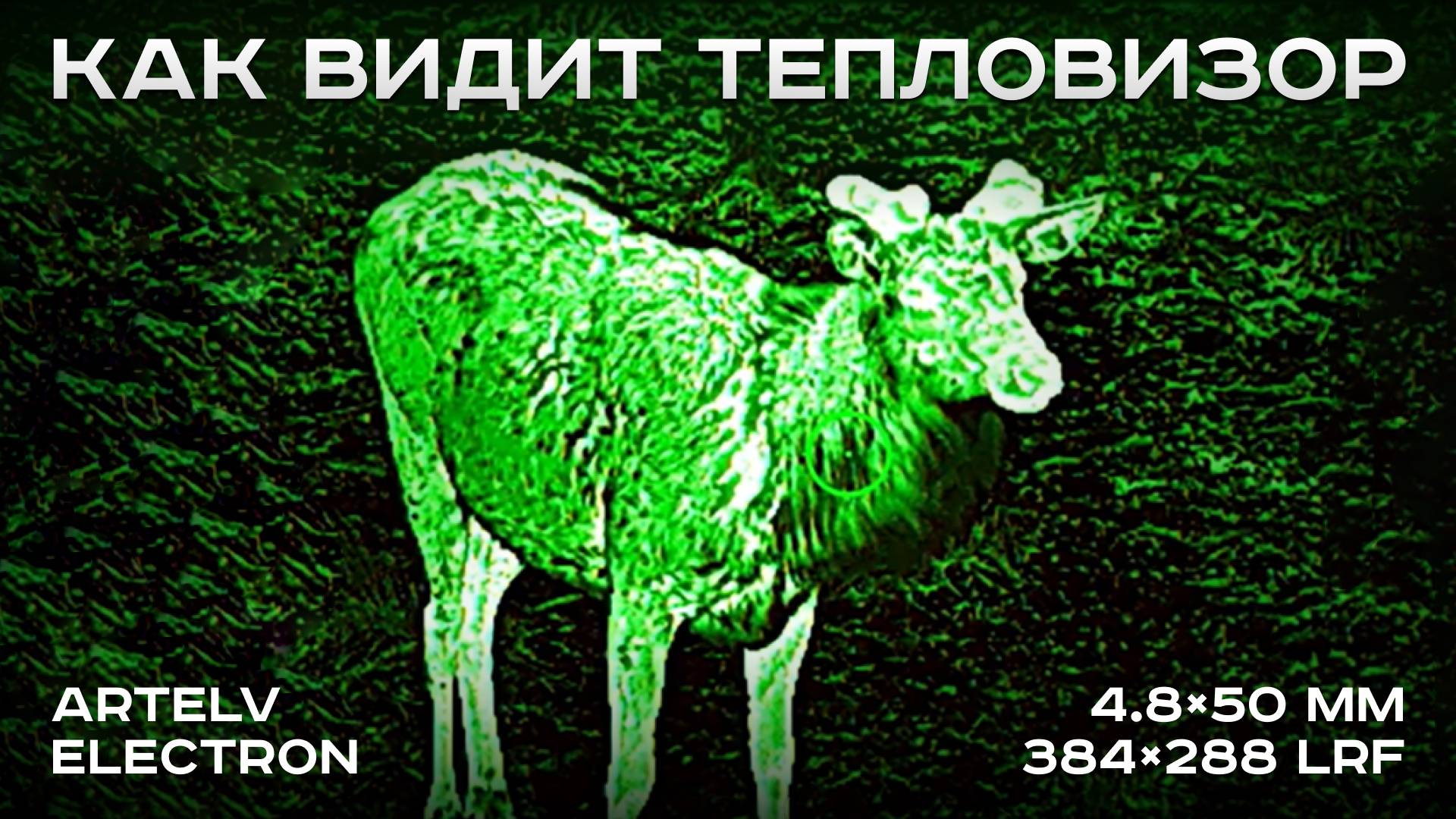 Как видит тепловизор ARTELV ELECTRON 4.8×50 мм 384×288 LRF