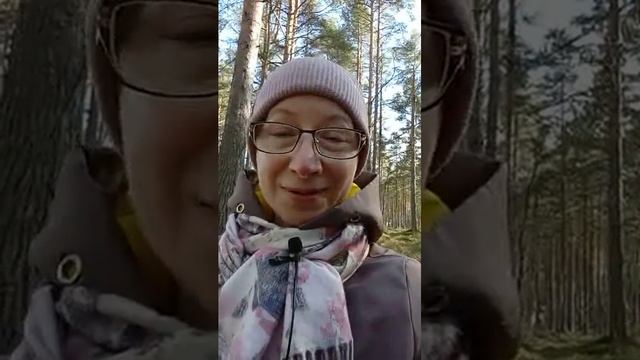 М.433)) Не ожесточайте сердец ваших...