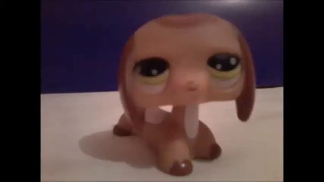 Всем спокойной ночи
