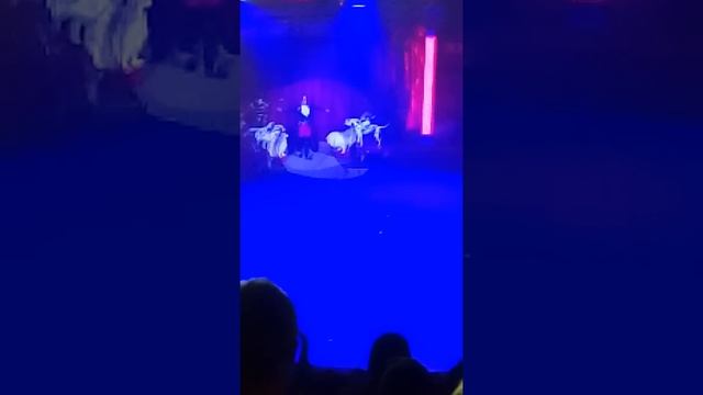 17 февраля 2018 г.