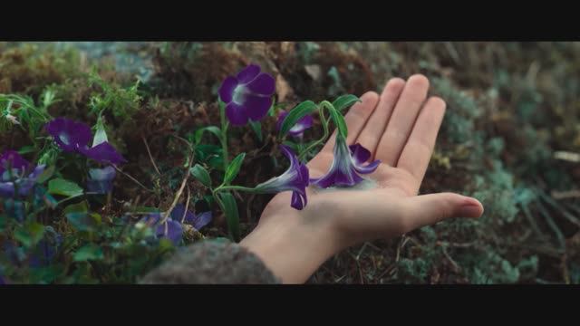 ВАСИЛИСА И ХРАНИТЕЛИ ВРЕМЕНИ