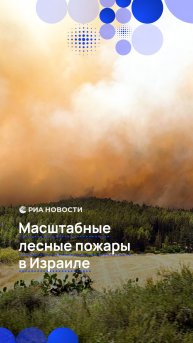 Масштабные лесные пожары в Израиле