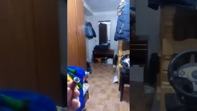 Приколы с котами. Прибежал за звук кнопки.