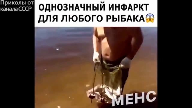 ЛУЧШИЕ ПРИКОЛЫ 2019   Полная ржака!!
