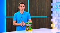 Периодично гладуване For Dummies - Доц. д-р Джанет Бонд Брил - store.bg