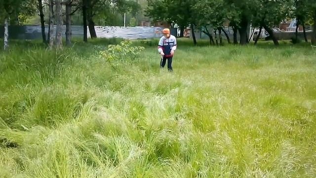 Алабай видео смешное