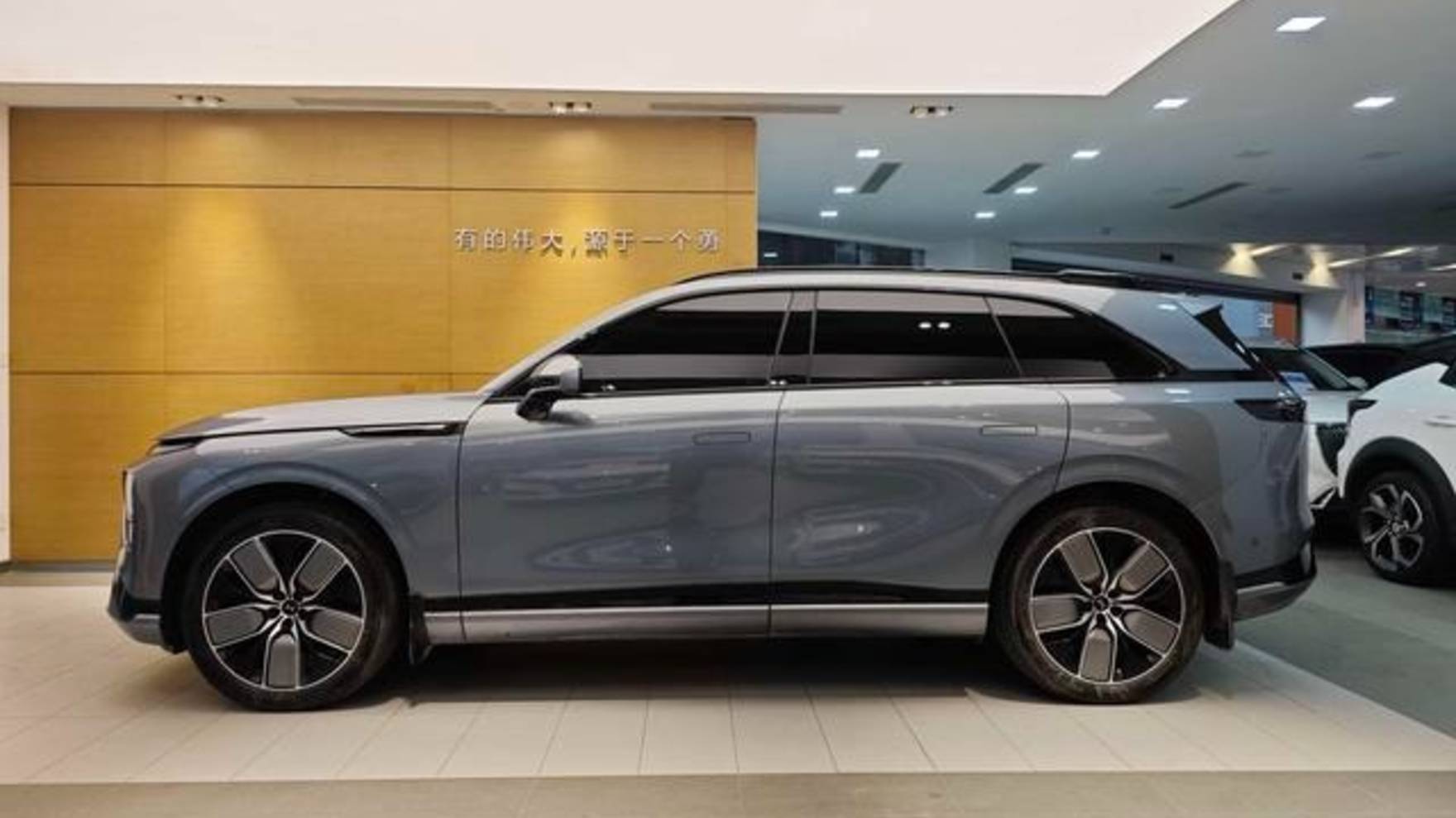 Электрички из Китая Xpeng G9 бюджет 3,7млн руб