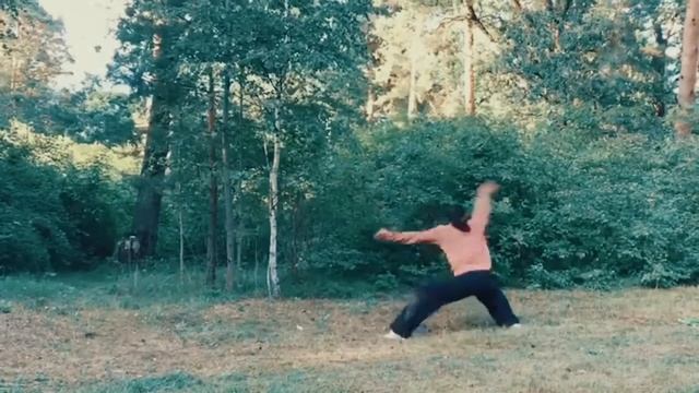 Стиль Хунцюань! Форма - Коршун, летящий в лес!   Школа Традиционного Ушу Мастера Тянь Е