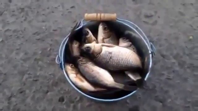 Вот супер улов  рыбацкие приколы