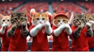 🏈🐾 Cats Take Over The Football Stadium😸- Funny Cats Doing Human Things