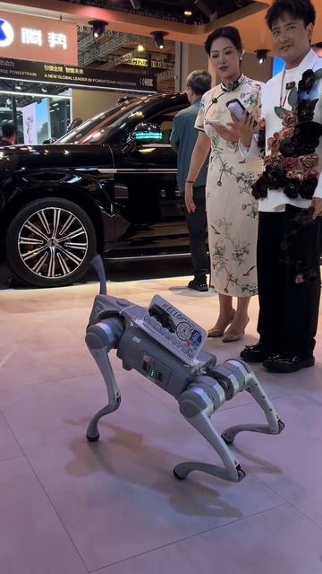 Даже страшно немного 🫣 #шанхай #шанхай2025 #автошанхай