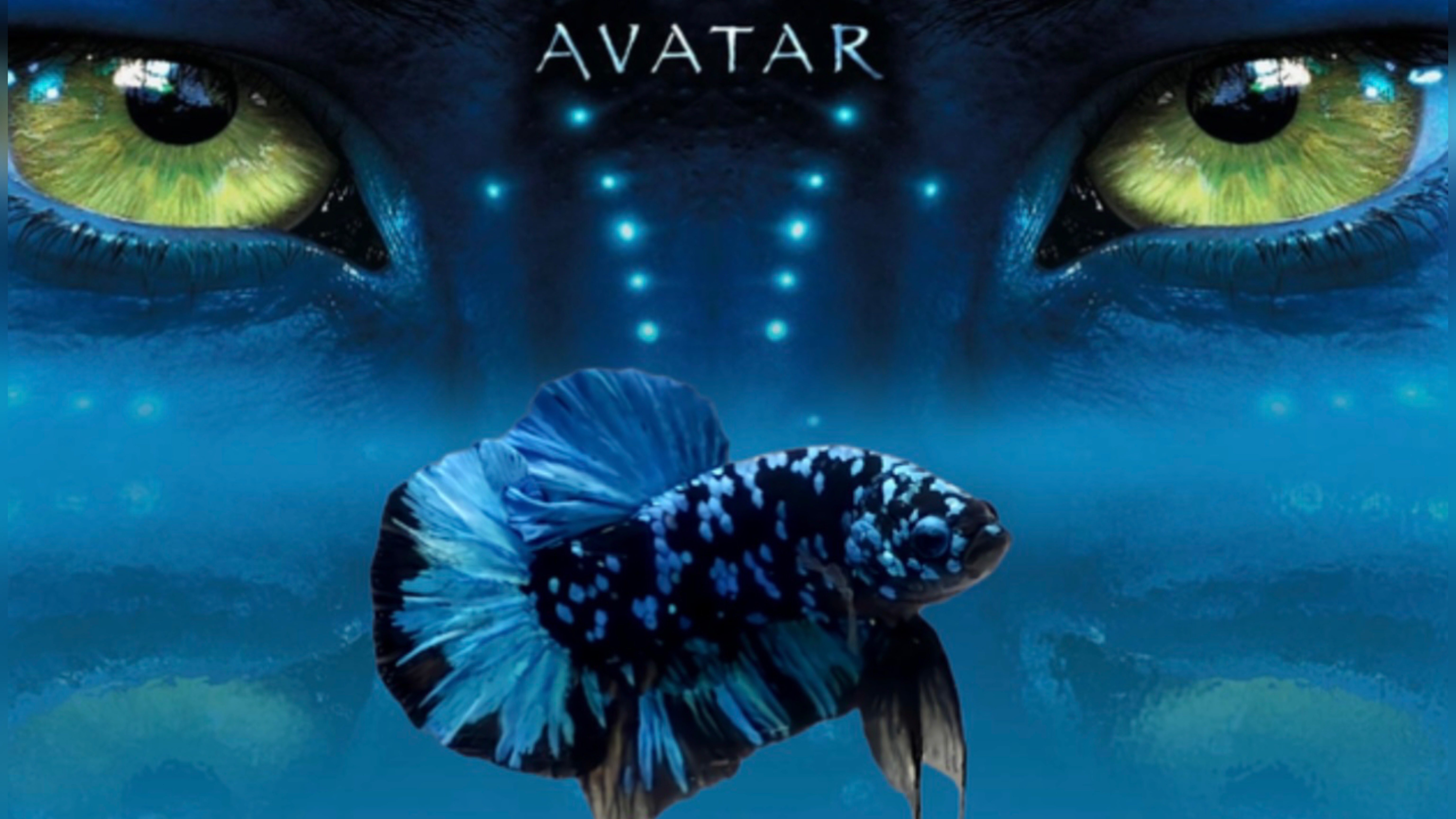 Рыбка Петушок Аватар (Betta Avatar
Galaxy)