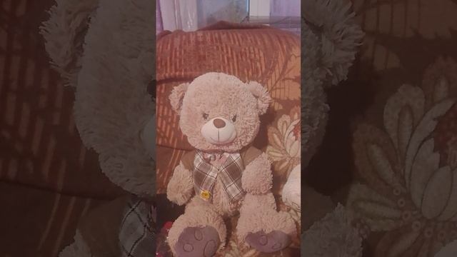 Тедди разговал что приходил катун кэт