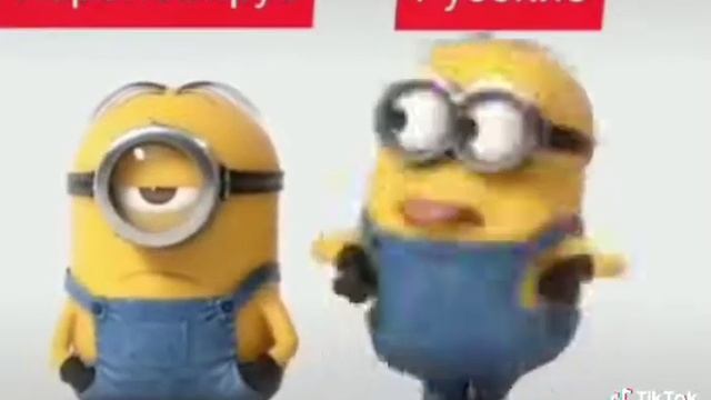 Смешное видео из тик ток