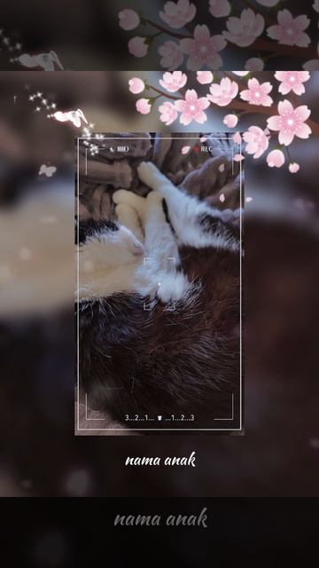 Моя любовь!!!