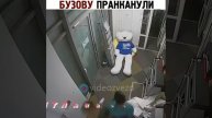 Приколы над звездами
