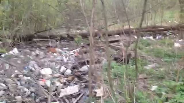 Расчистка завалов русла реки Поныри в городе Щелково.