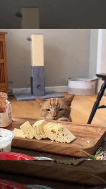 Воровская жизнь