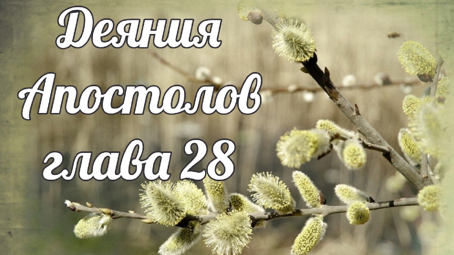 Деяния Апостолов глава 28