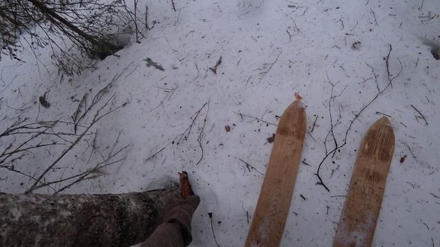Закрыл зимний сезон сбор чаги. 22.03.25