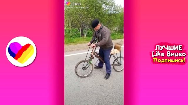 ЛУЧШИЕ ВИДЕО ЛАЙК 2019 Подборка | ПРИКОЛЫ Like Самые Няшные и Прикольные Видео